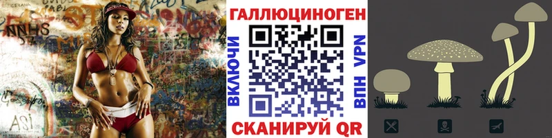 Галлюциногенные грибы Psilocybe  Сатка 